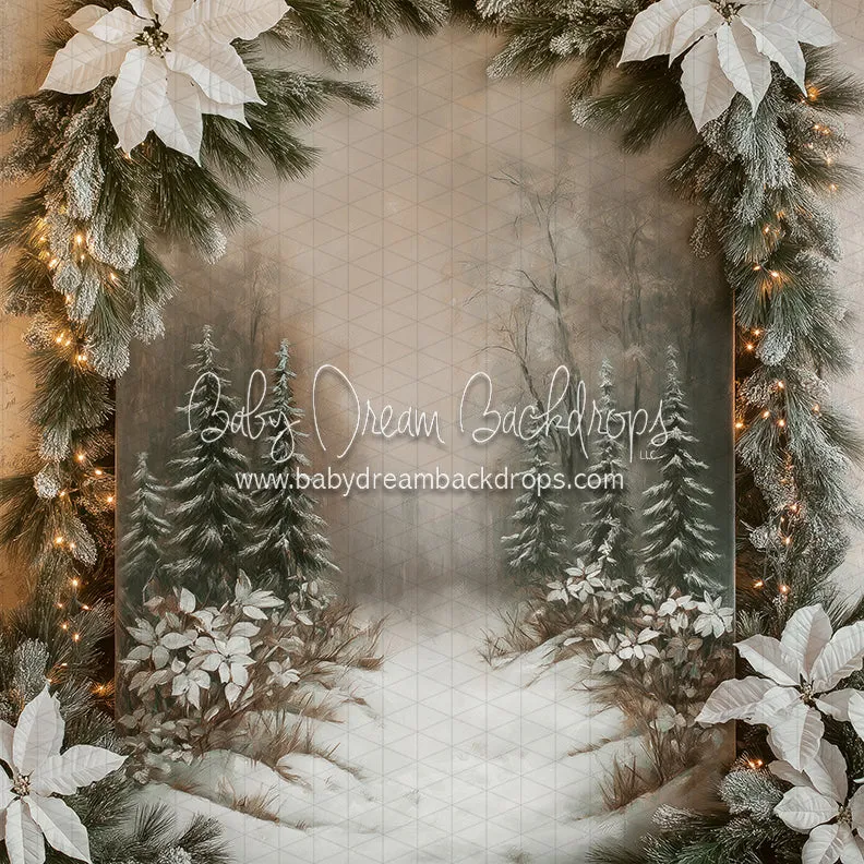 Nova Finest Frost (CC)